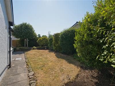 Picture 26